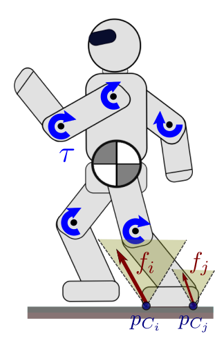 Humanoid whole-body dynamics involve contact forces and the dynamic momentum