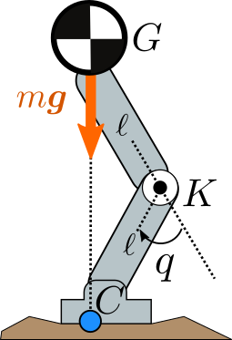 Knee joint in a lumped mass model