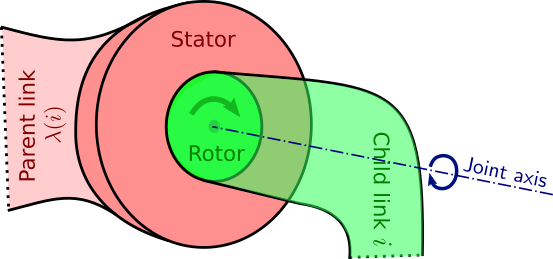 Stator and rotor of the rotary actuator in a revolute joint