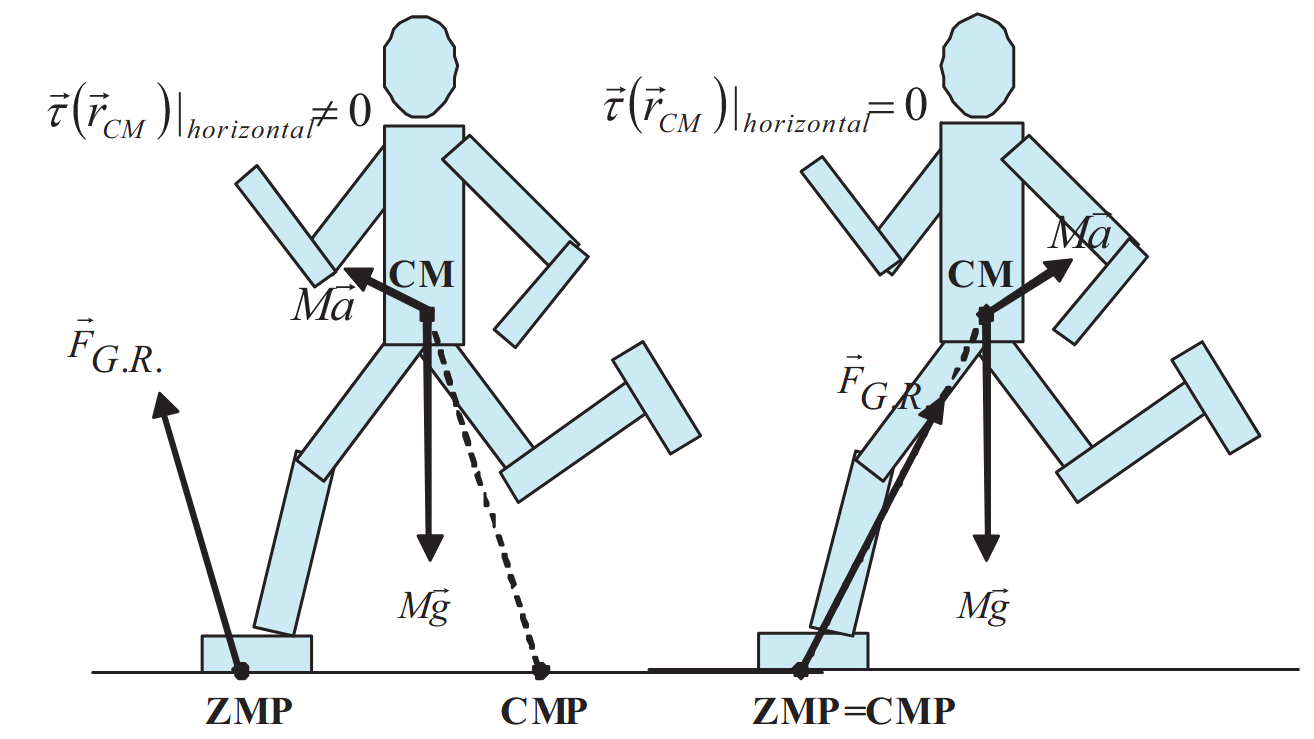 CMP and ZMP, figure from Popovic et al. (2005)