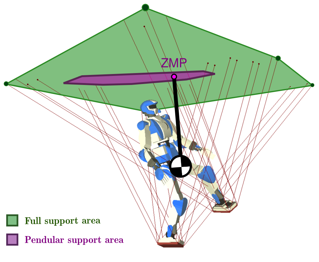 Illustration of the full and pendular ZMP support areas.